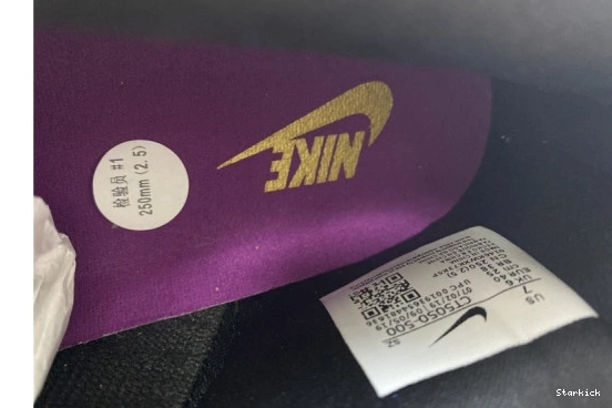 Low Viotech (2019) Dunk Nike CT5050-500 0213